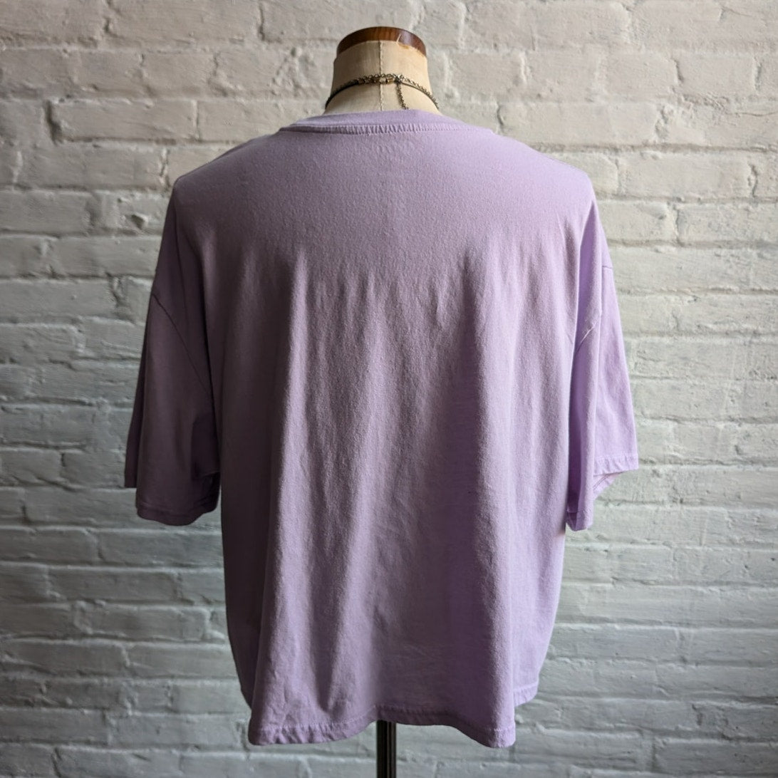 Retro Strawberry Shortcake Graphic Tee Pastel Purple Kawaii Heart Tshirt Top XXL