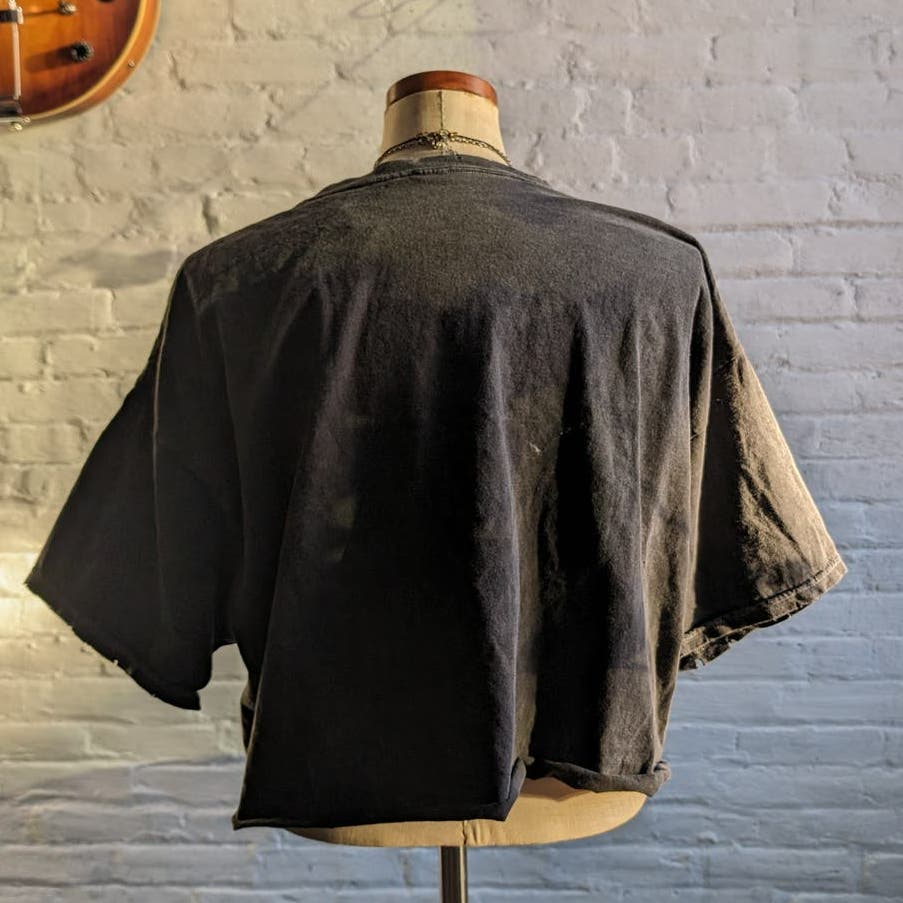 Urban Outfitters Cropped Band Tee Retro 70s Pink Floyd Psychedelic Groovy Top