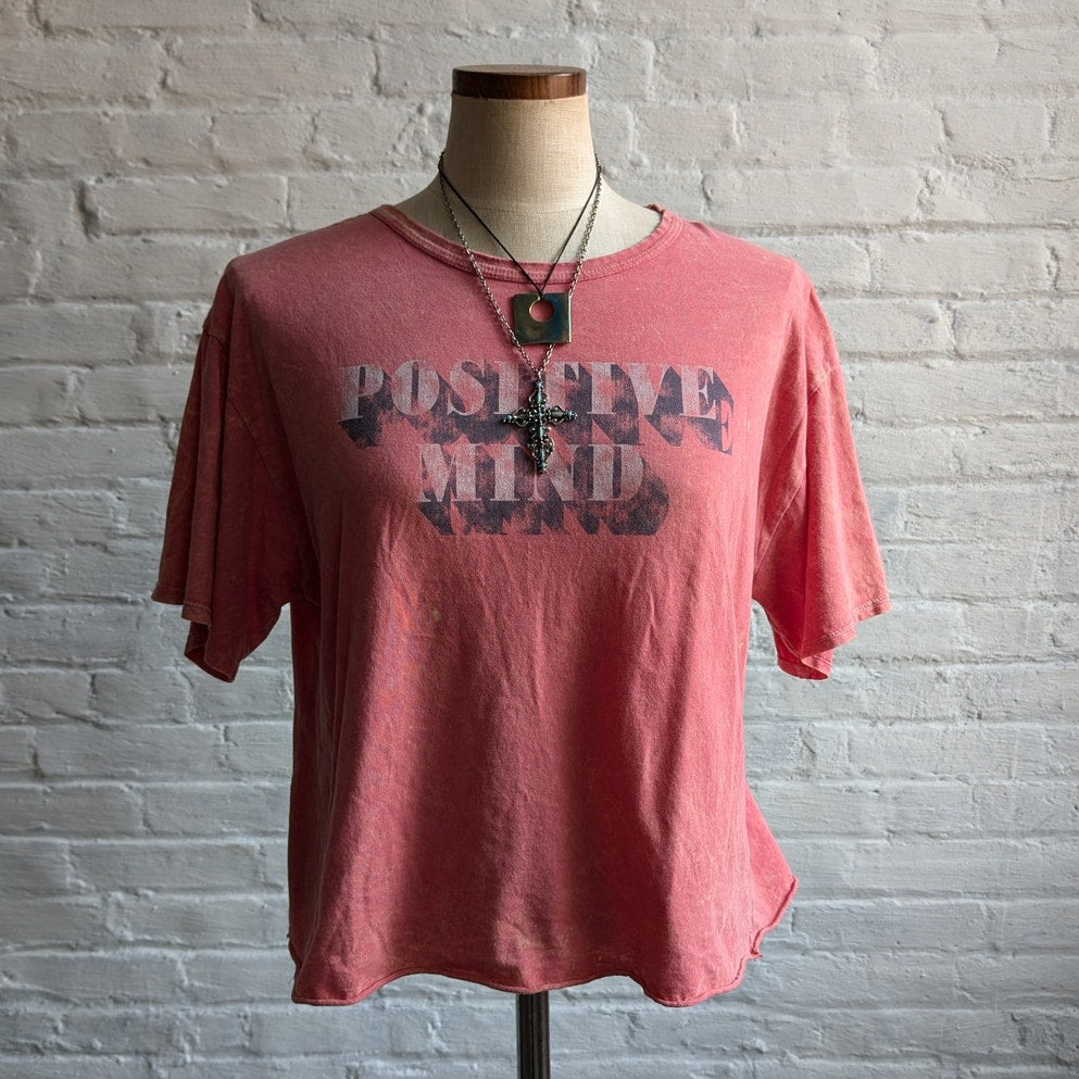 Y2K Red Burnout Acid Wash Concert Tee Pink Festival Tshirt Faded Crop Top Large