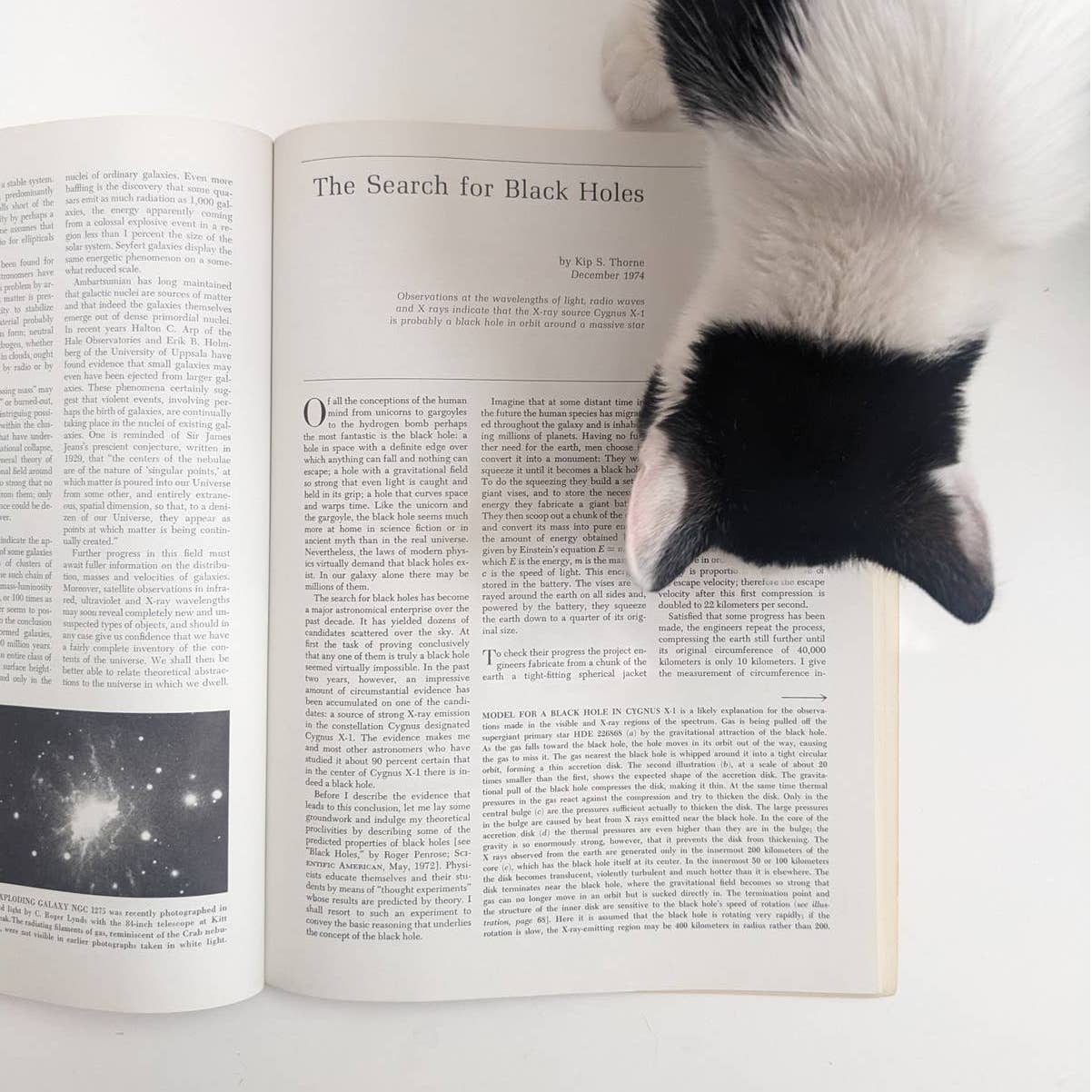 Vintage 70s Coffee Table Book Cosmology + 1: Readings from Scientific American